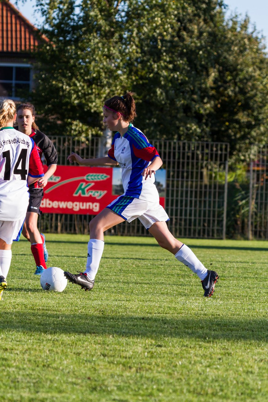 Bild 201 - B-Juniorinnen SG Wilstermarsch - SV Henstedt Ulzburg : Ergebnis: 5:1